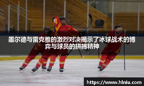 智博19有限公司